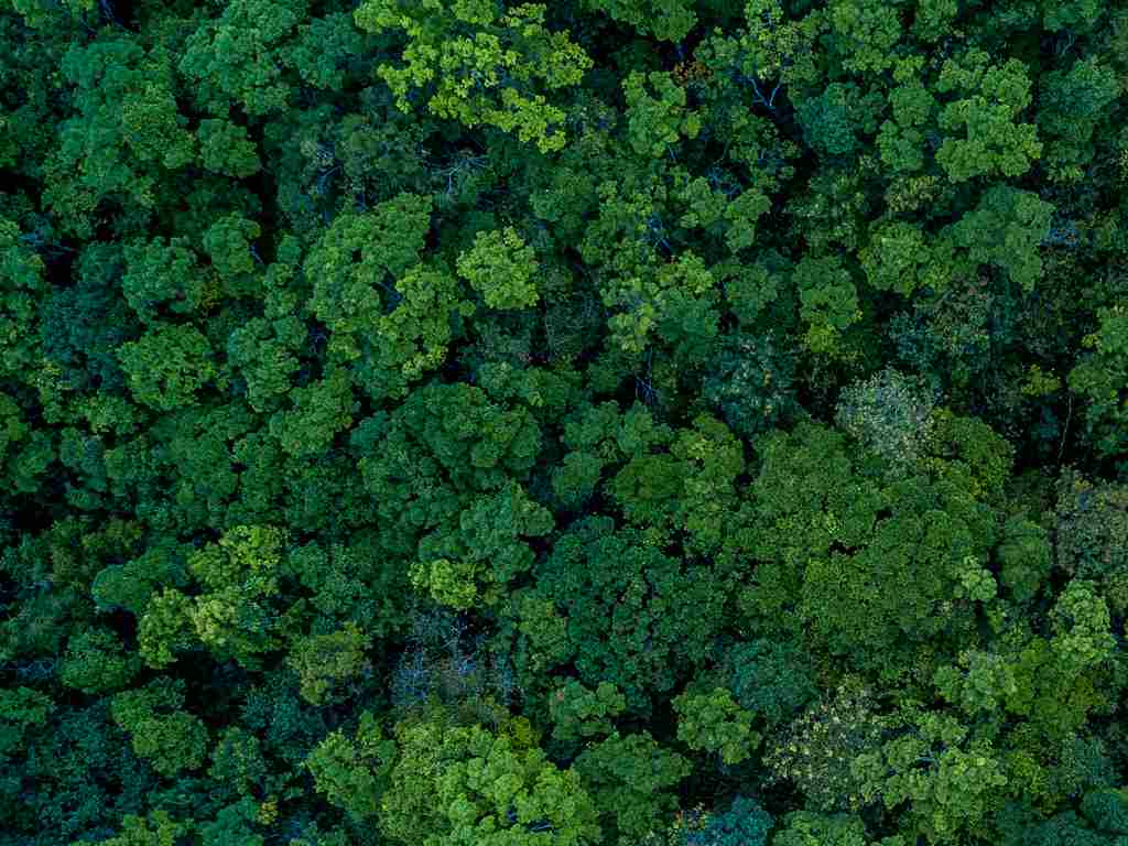 Para reduzir o impacto no meio ambiente, é necessário investir em matérias-primas sustentáveis. Clique na imagem e entenda mais sobre a relação da moda com a sustentabilidade!