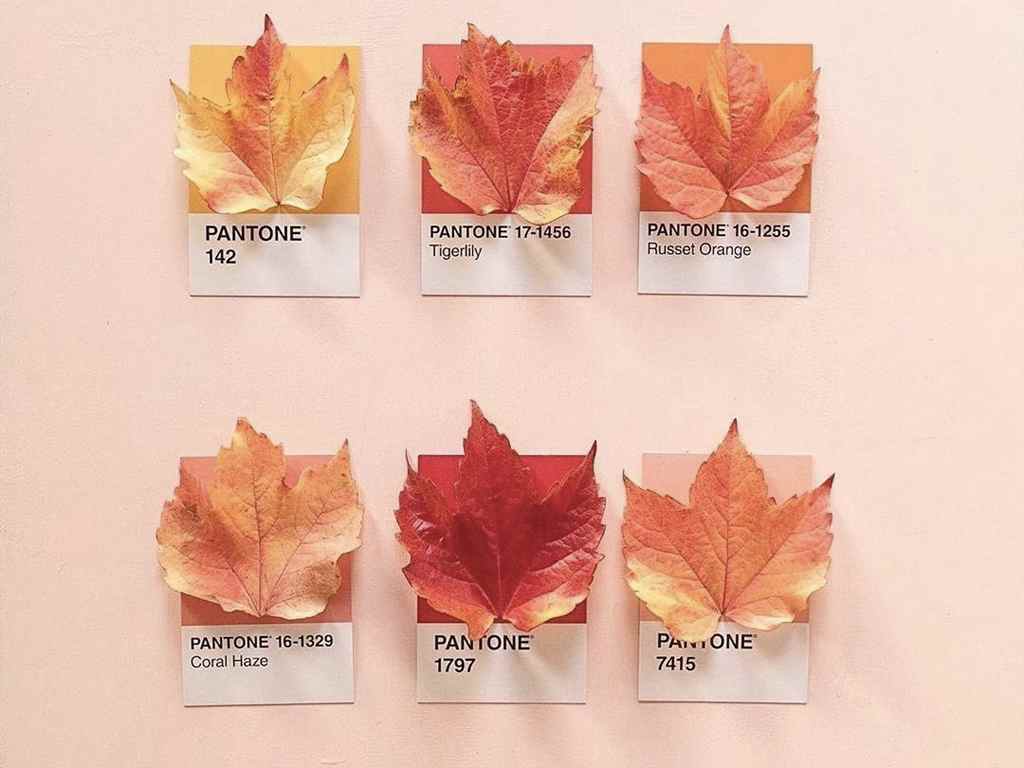 Paleta de cores Pantone. (Foto: Reprodução/Instagram @pantone)