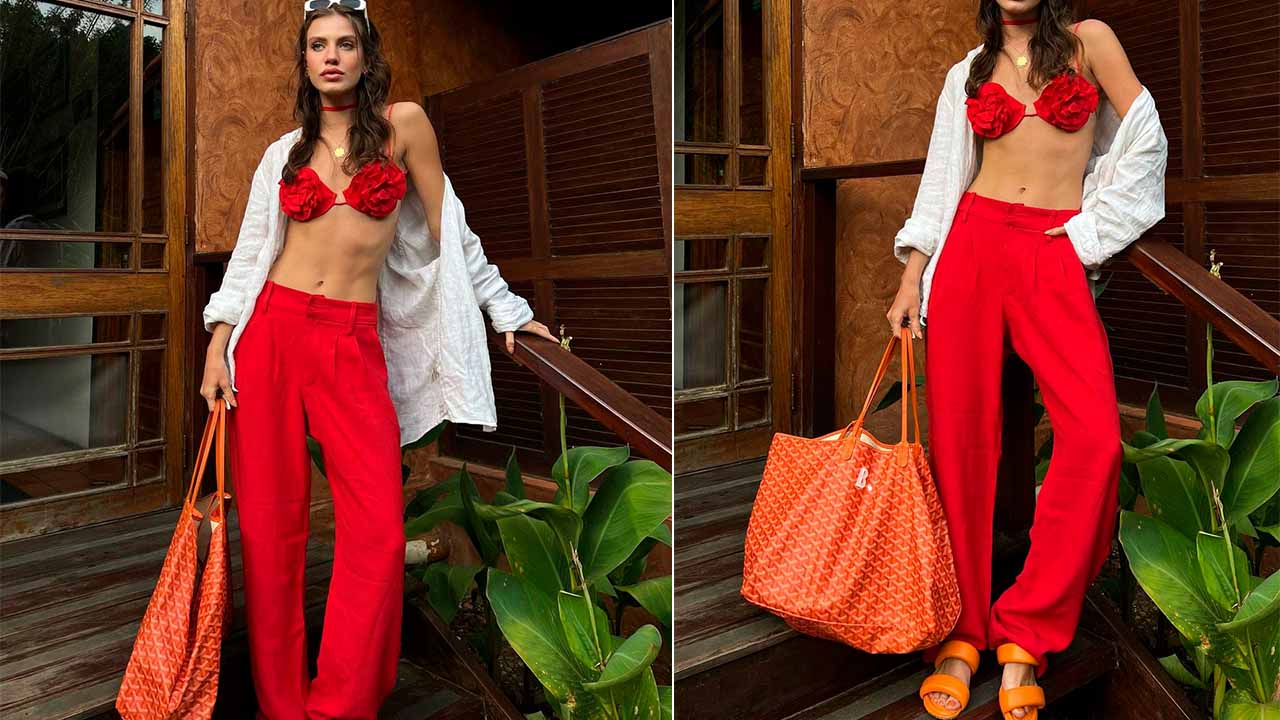 Bolsa Goyard