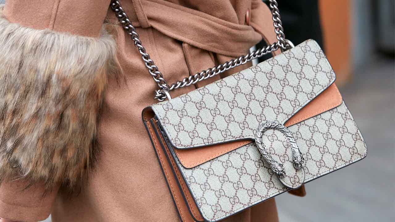 5 Dicas para conservar sua Bolsa Gucci Dionysus em ótimo estado