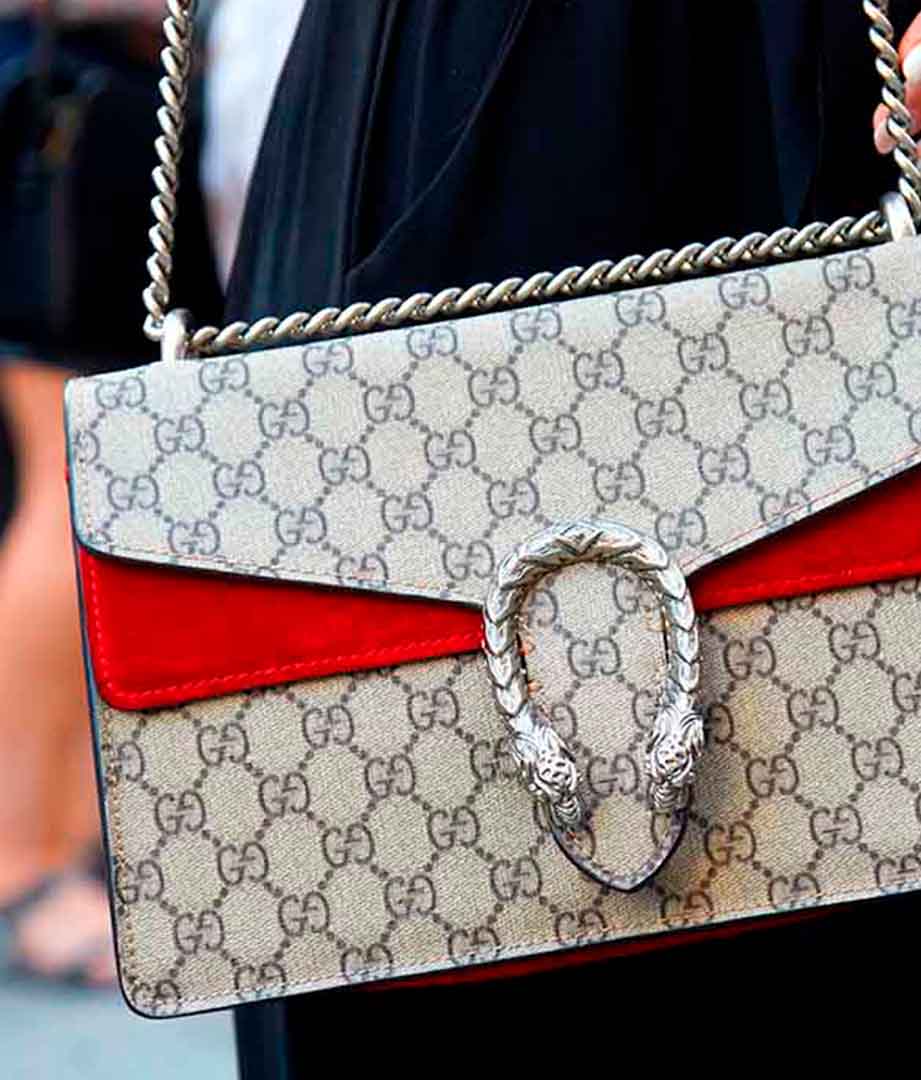 Bolsa Gucci Dionysus.