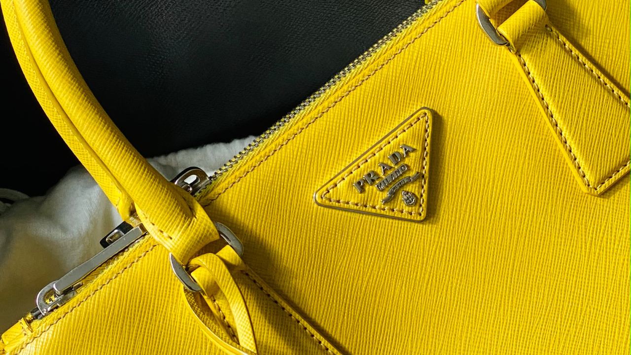 Dicas de como conservar bolsas de luxo de couro!