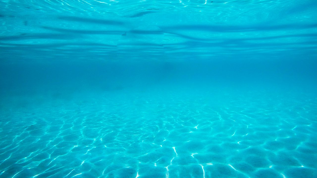 capa do post sobre o dia mundial do oceano