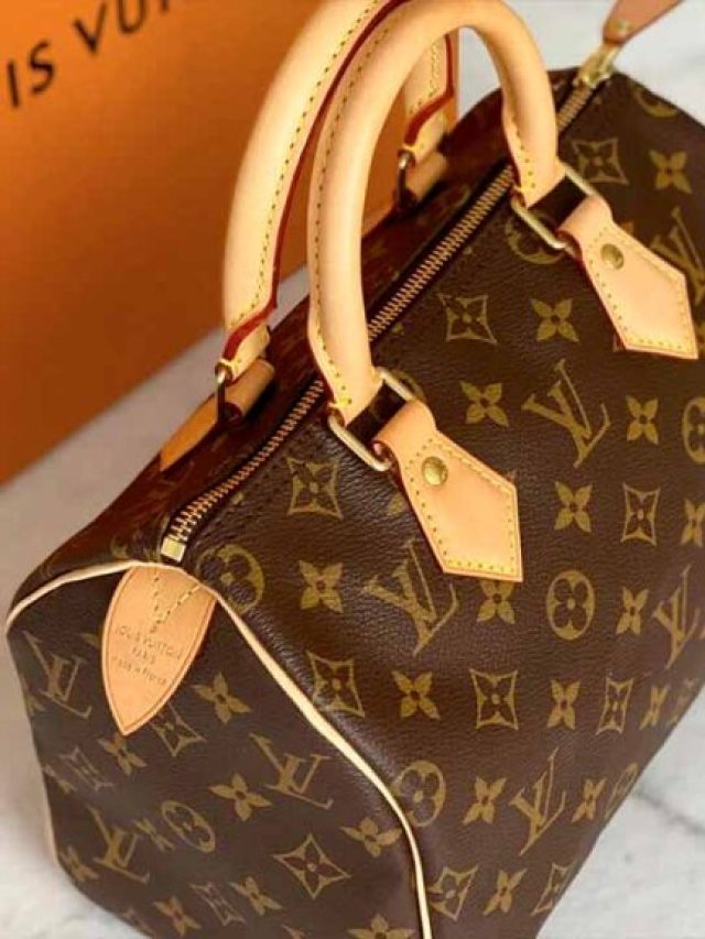bolsa-speedy-loius-vuitton-curiosidades