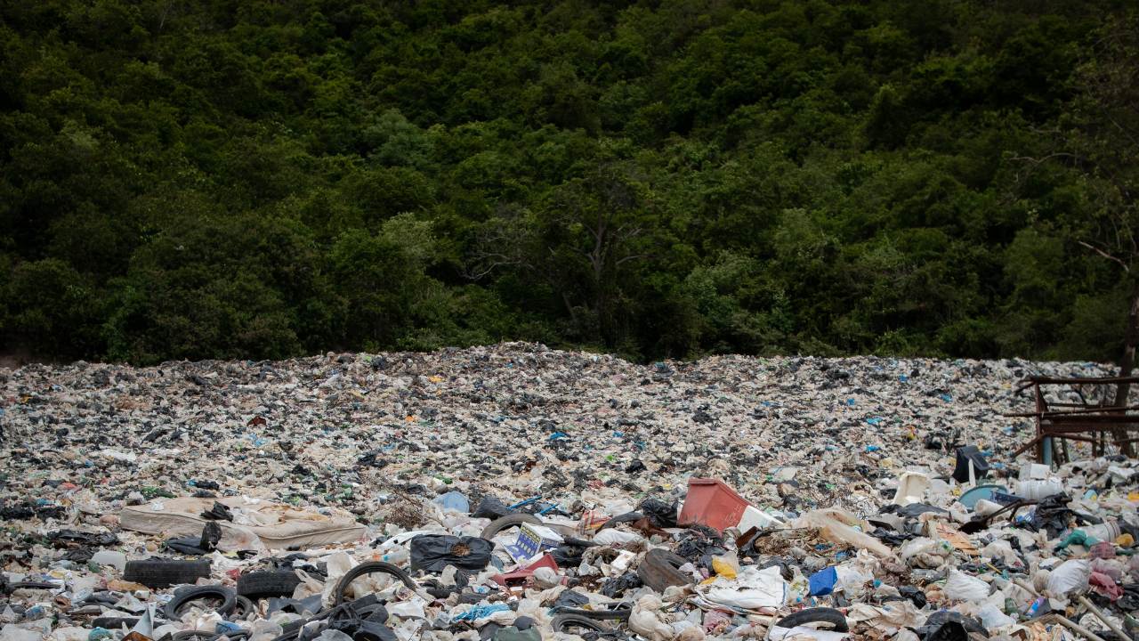 Hoje é Dia da Sobrecarga da Terra: O que isso significa e como a moda influencia nesse contexto?