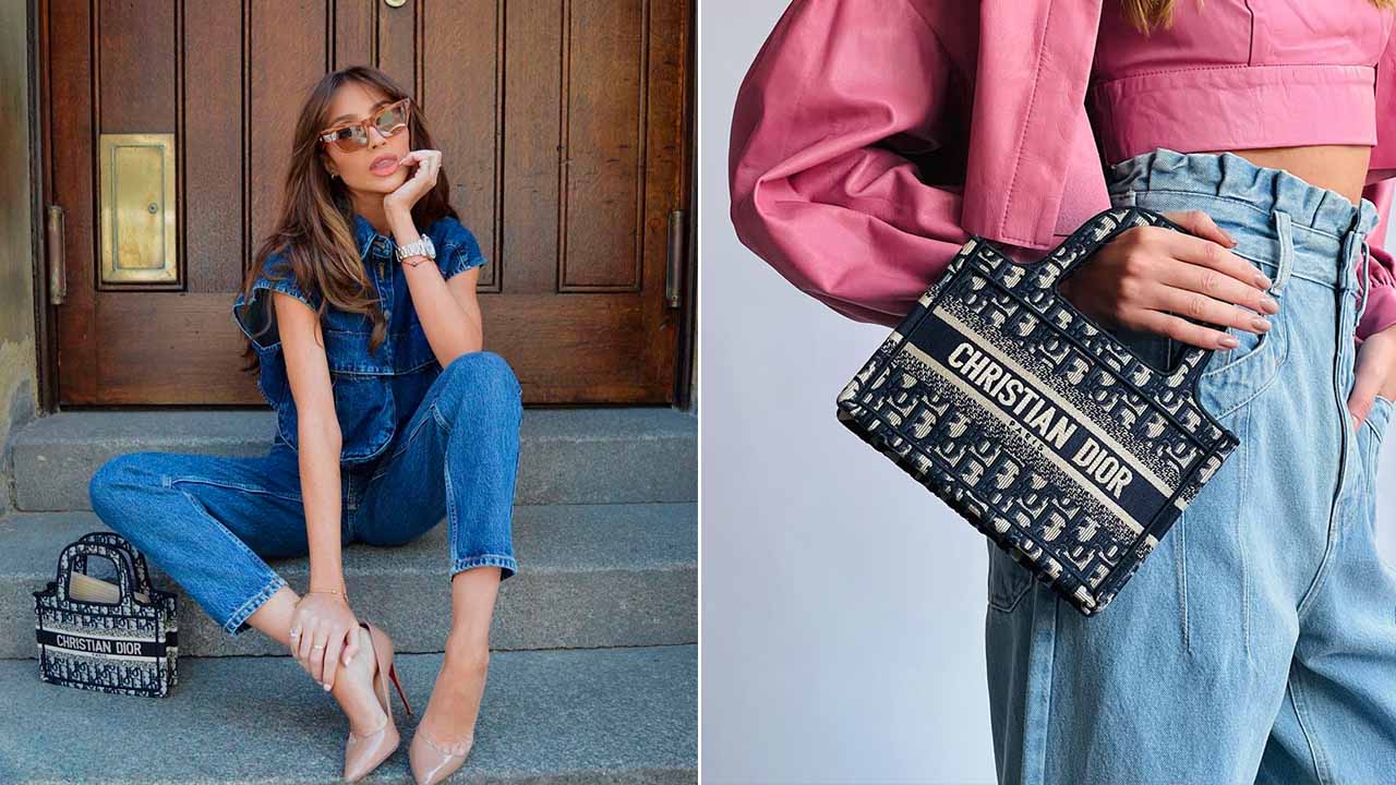 Dior Book Tote uma bolsa pequena de luxo.