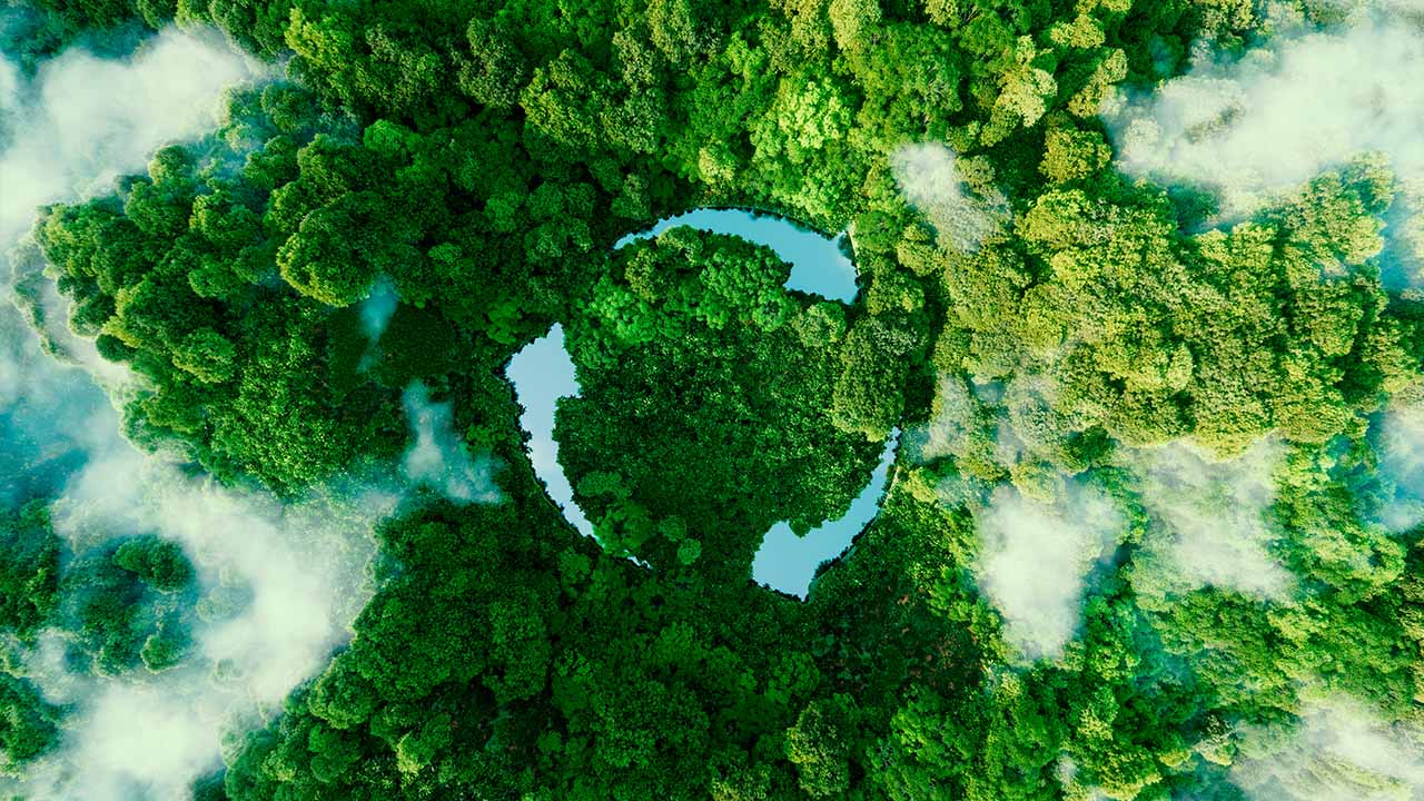 Onde Descartar Materiais Recicláveis? Google Maps Indicará Pontos de Coleta