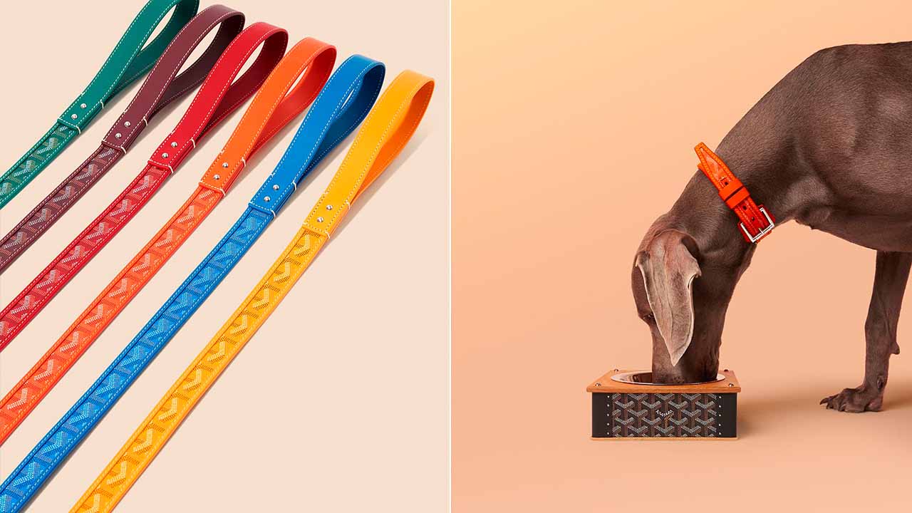 Produtos Goyard dedicado aos pets.