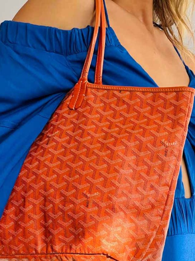 bolsas-goyard-em-promocao-010923 (1)