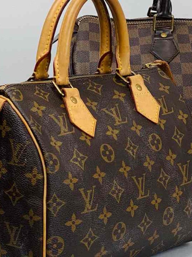 Os modelos de bosas louis vuitton ais procurados no mercado de revenda, brechós e sites de artigos de luxo de segunda mão.