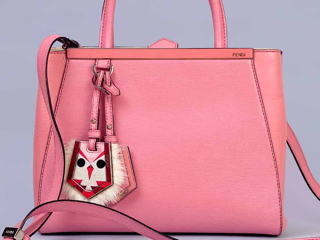 Foto Bolsa fendi.
