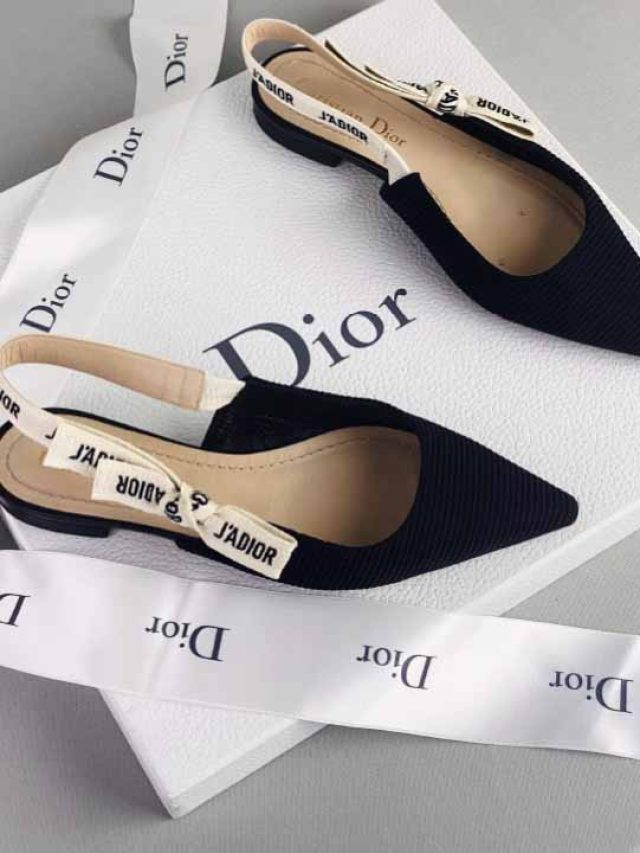 significado-da-palavra-christian-dior