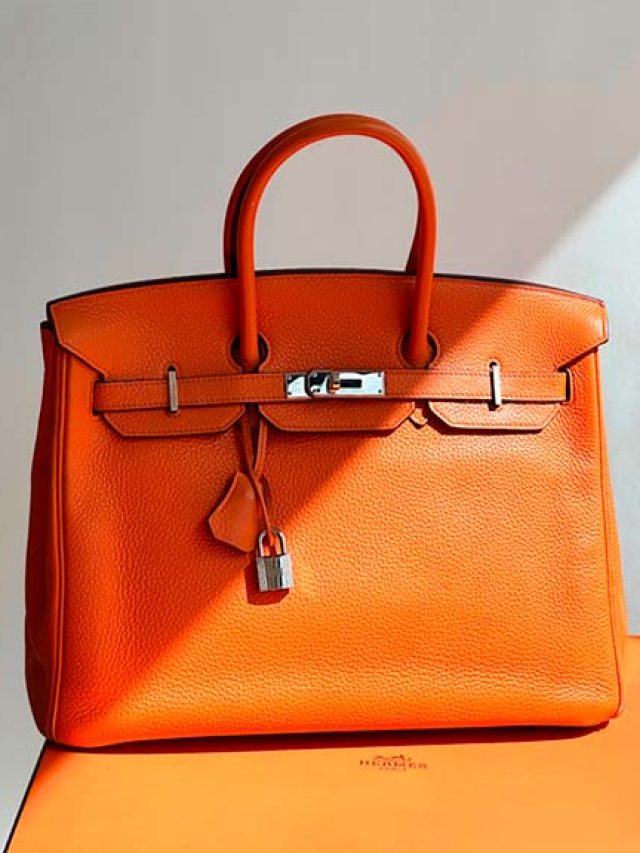 os-modelos-de-bolsas-hermes-mais-amados-birkin