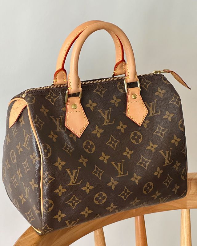 Bolsa Louis Vuitton Speedy. Clique na imagem e confira mais modelos!