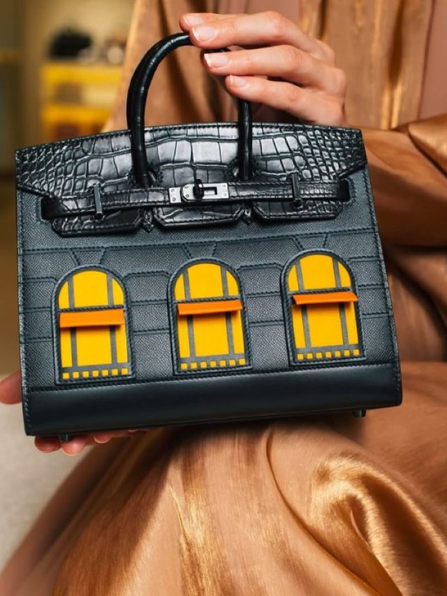 BOLSA-BIRKIN-HERMES-RARAS