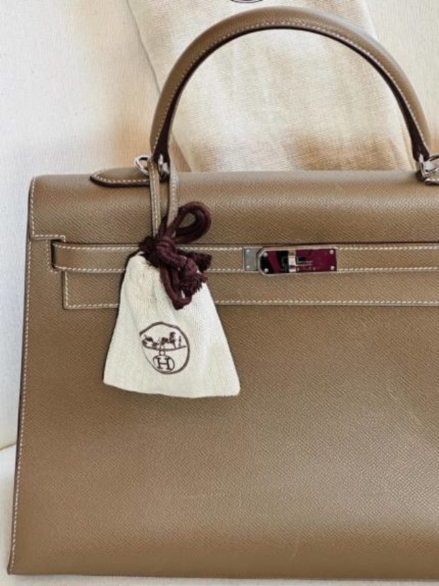 bolsas-femininas-investimentos-na-semana-da-mulher (1)